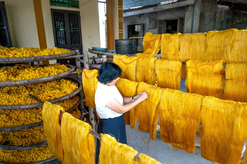 Đôi Tay Mẹ, Thương Hiệu Của Con: Hành Trình Biến Nghề Thủ Công Cổ Xưa Thành Doanh Nghiệp Hiện Đại